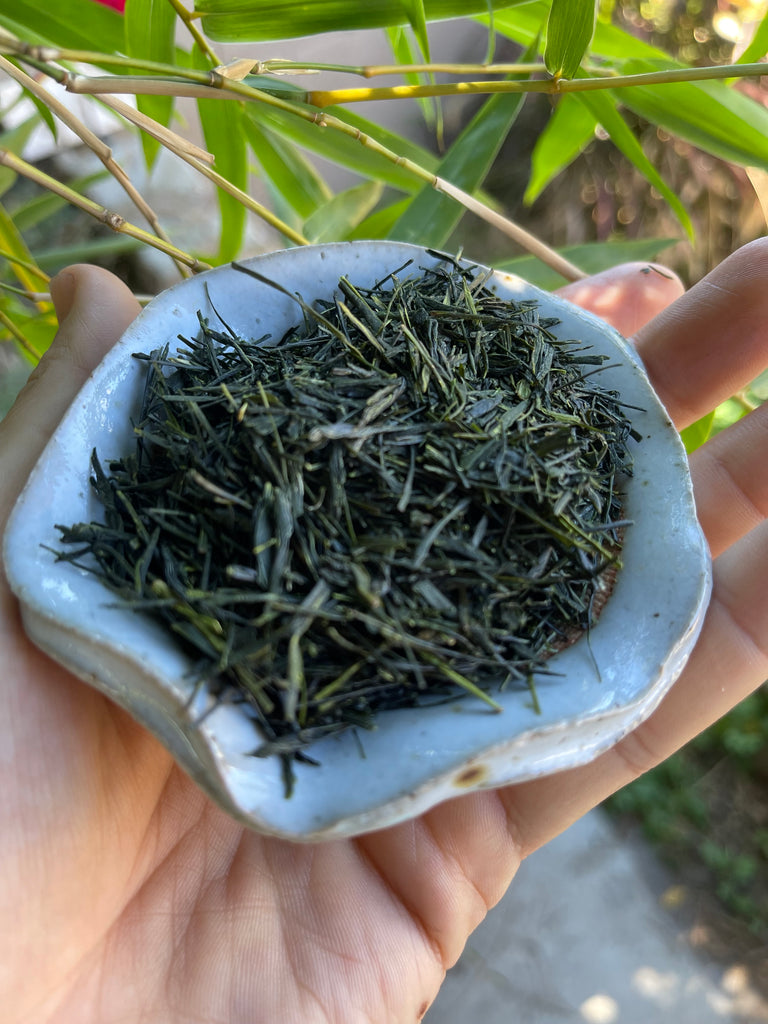 Khaori withered Sencha from Shizuoka 35g - Tiger Matcha