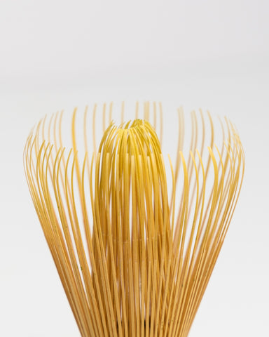 CHASEN - JAPANESE BAMBOO WHISK - Tiger Matcha