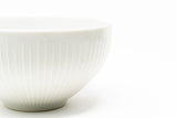 TIGER MATCHA “STAY AT HOME” STARTER KIT - Tiger Matcha