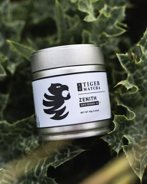 Zenith Matcha *USDA ORGANIC (Tier 1) HANDPICKED LEAVES *RARE SINGLE CULTIVAR*) - Tiger Matcha