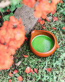 Exclusive Reserve *USDA ORGANIC (Tier 2) - Tiger Matcha